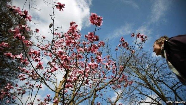 Visitor at Kew Gardens