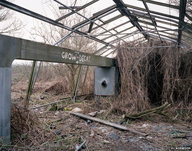 Adandoned Market Garden, Sipson