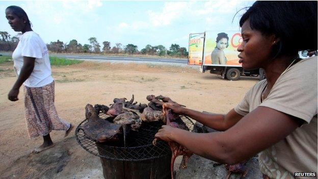 Woman dries bushmeat by the side of the road, Ivory Coast (29 March)