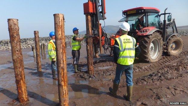 Putting poles in place on the beach