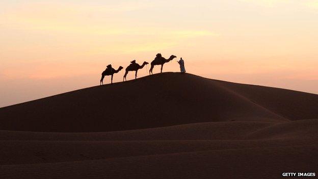 Camels and their keeper in the Sahara (file photo)