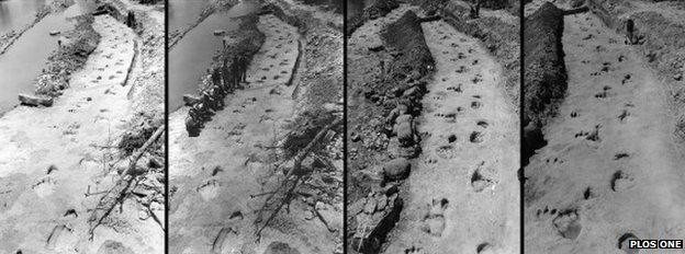 Dinosaur trackway - photos taken 70 years ago