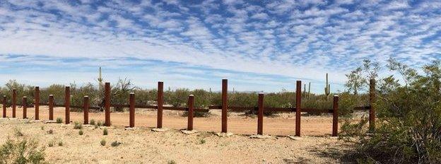 Sonoran Desert