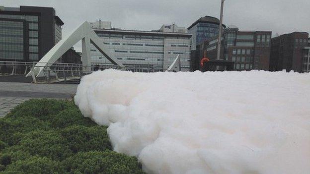 Foam on river bank