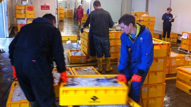 Lerwick fish market