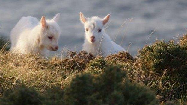 Kids (Pic: Nick Challinor)