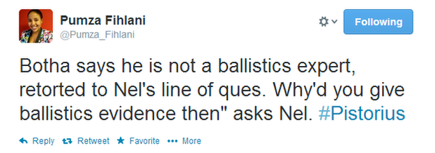 Mr Nel repeatedly tried to lure pathologist Professor Jan Botha into contradicting himself