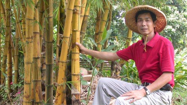 Chen Ching-fu, general manager of the Bamboo Culture Park