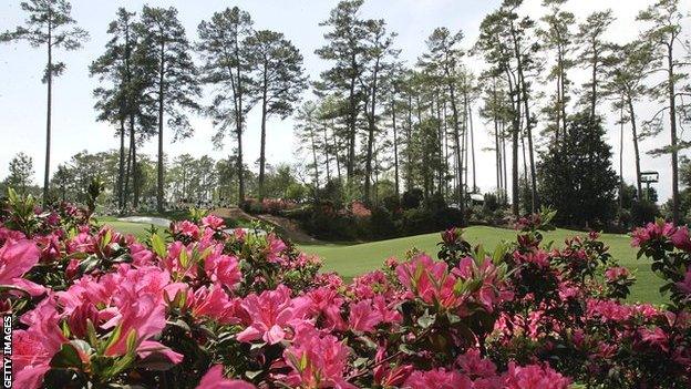 Banks of pink azaleas in the foreground and a row of pine trees flank a green at Augusta