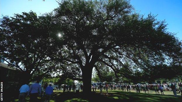 Augusta's famous oak tree outside the clubhouse