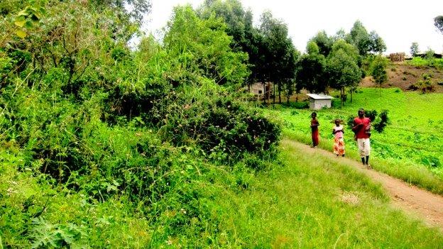 A mass grave in Rutshuru