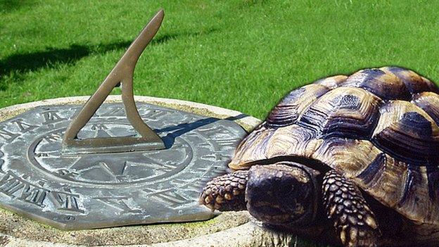 Composite of tortoise and sundial