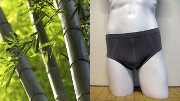 Bamboo and bamboo pants