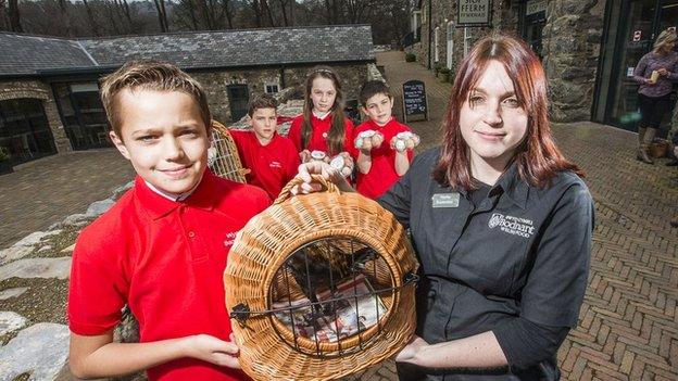 Pupils from Ysgol San Sior with their hens and eggs at Bodnant Welsh Foods near Conwy