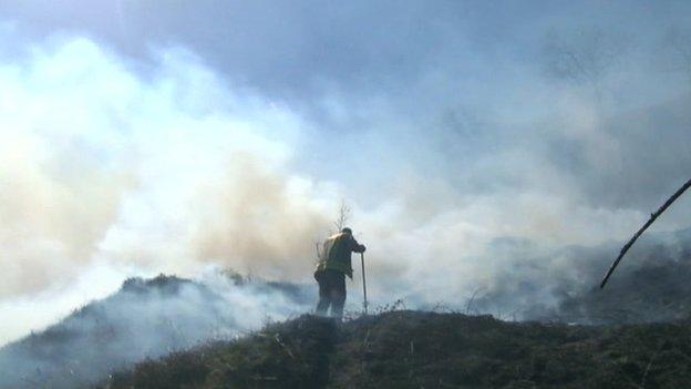 A fireman fighting a grass fire