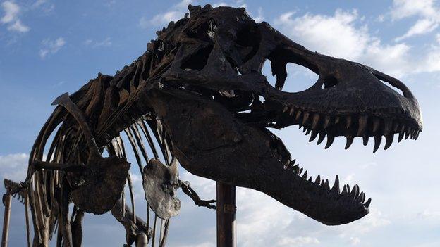 Cast of the Wankel T-Rex outside the Museum of the Rockies, Montana