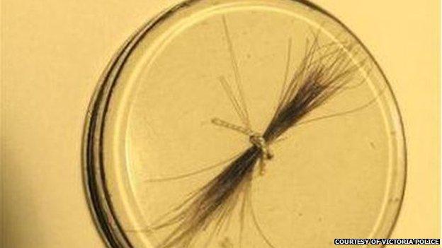 Lock of Napoleon Bonaparte's hair from The Briars historic homestead in Victoria, Australia