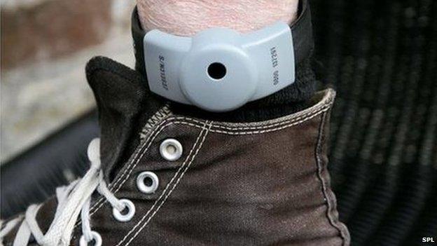 An electronic tag on a leg