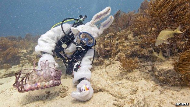scuba-diving Easter bunny