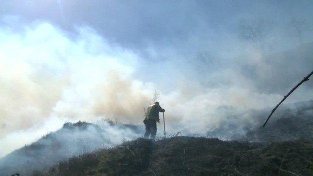 A fireman fighting a grass fire