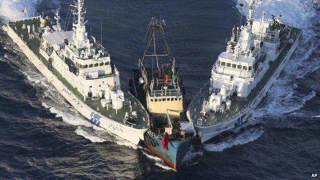 The Boa Diao boat (C) is surrounded by Japan Coast Guard patrol boats after Hong Kong activists descended from the boat onto Uotsuri Island, one of the East China Sea islands, on 15 August 2012