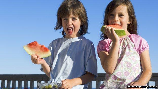 Children eating water melon