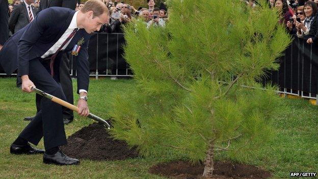 Prince William Anzac Day commemorations