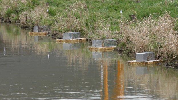 Wiltshire and Berkshire Canal, Swindon