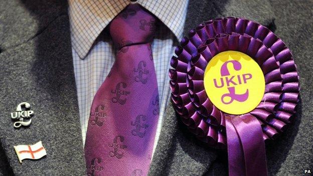 UKIP member