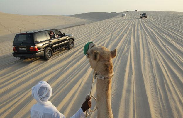 Camel and SUVs in Umm Sa'id