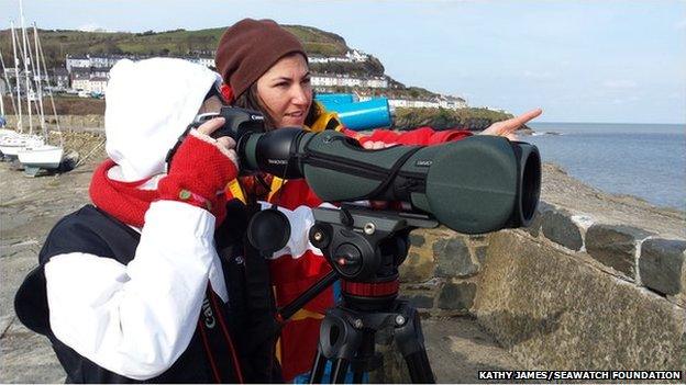 Kathy James with the digiscope on New Quay pier