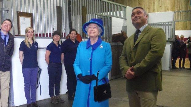 Queen at Cotts Equine Hospital