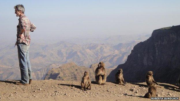 James Jeffrey and a group of gelada monkeys in the Simien Mountains