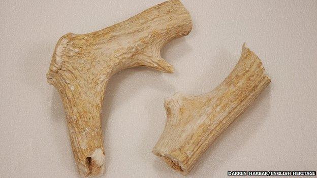 Neolithic antlers