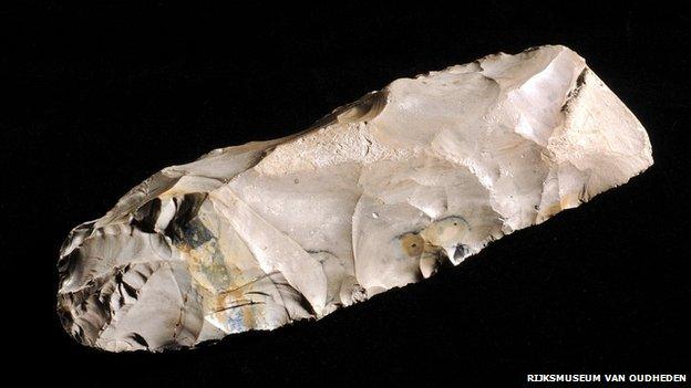 National Museum of Antiquities curator Luc Amkreutz identified this flint tool as a Mesolithic tranchet axe - the first such find from the North Sea. It was found by a Dutch fisherman in 1988