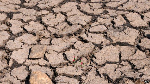 Dried up dam