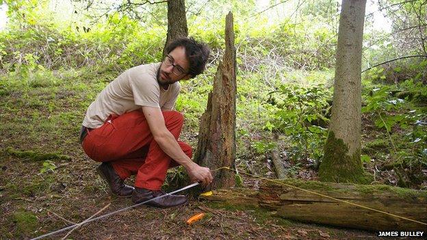 Daniel Jones surveying Thetford Forest