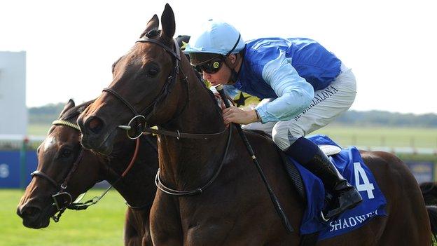 1,000 Guineas winner Miss France