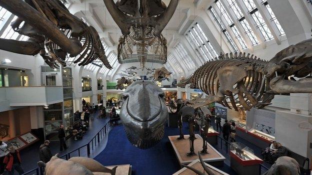 Natural History Museum