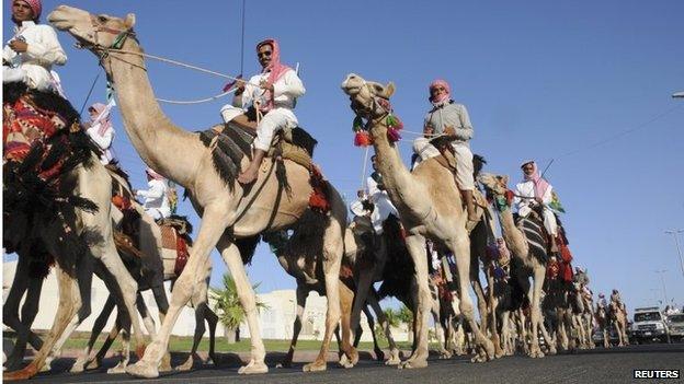 Camels near Dubai (file photo)