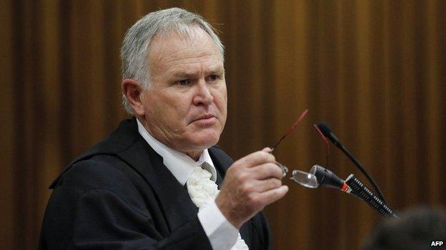 Defence lawyer Barry Roux, questions a witness at the court in Pretoria - 6 May 2014