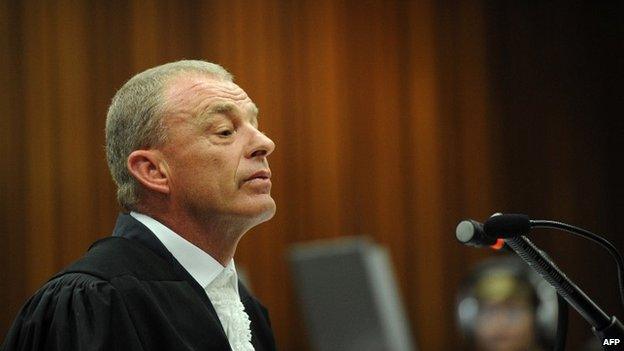 Prosecutor Gerrie Nel speaks at the high court in Pretoria - 8 May 2014