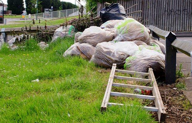 Garden waste abandoned in Druid's Heath