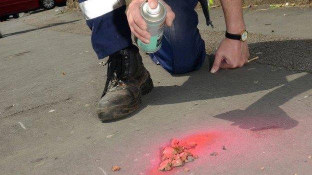 A council official sprays dog mess