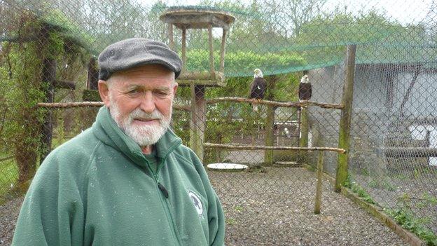 Griff Griffiths at the Welsh Hawking Centre