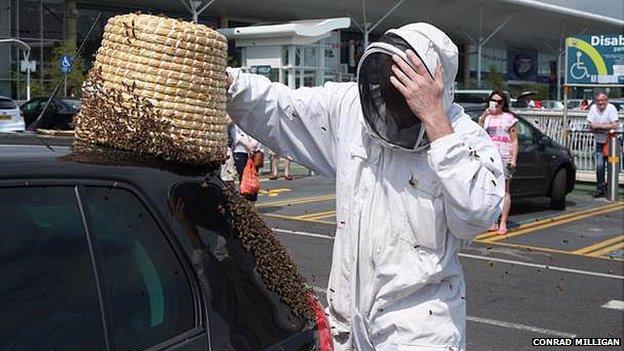 Bee swarm on car in Bournemouth