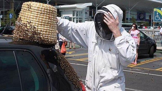 Bee swarm on car in Bournemouth