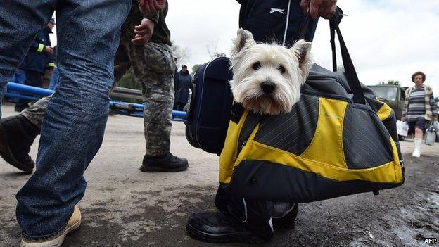 A man carries a dog after in the town of Obrenovac, in Serbia, on 17 May 2014