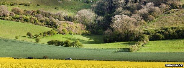 Sussex countryside