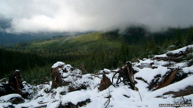 Headwaters of Tsitika River watershed on Northern Vancouver Island, British Columbia, December 2005. Temperature increases will affect the hydrological system in particular in rain/snow transition zones.